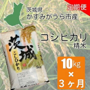 【ふるさと納税】【毎月定期便】茨城県かすみがうら産 コシヒカリ 精米 10kg全3回【4075580】