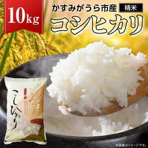 yӂ邳Ɣ[Łzߘa7NY݂sYRVqJ  10kg_   RVqJ Ђ 10kg   R Y  ͂   Â  ɂ ٓ 錧 