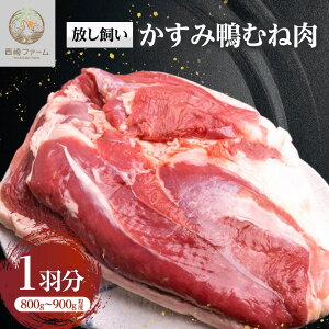 yӂ邳Ɣ[Łz݊ނ˓@1H(800g`900gx)_     J  J ɂ jN     Y ^pbN [Xg [X   Ԃ 