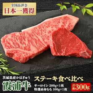 【ふるさと納税】霞浦牛(かほぎゅう) ステーキ食べ比べ2枚セット(約200g×1/約100g×1)【配送不可地域:離島】【1364396】