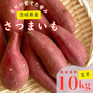 yӂ邳Ɣ[Łzy錧Yz܂ g͂邩 10Kgy1437617z