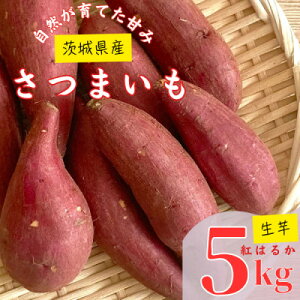 yӂ邳Ɣ[Łzy錧Yz܂ g͂邩 5Kgy1437615z
