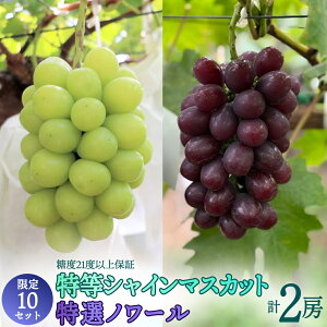 yӂ邳Ɣ[ŁzI [gi VC}XJbg 700g × I m[ 600g^xۏؕtj y10Zbgz sY |Ԃǂ Ԃǂ }XJbgm[  ʕ 