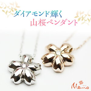 yӂ邳Ɣ[ŁzRy_g _Ch sNS[h zCgS[h WG[ lbNX Mtg LO 蕨  y_g ANZT[ WG[ WG[}[m 