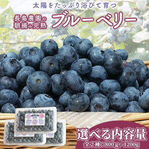 yӂ邳Ɣ[Łzu[x[  800g ( 2pbN )` 1.2kgi 3pbN j y2026N6甭Jnz Y 錧Y x[ t[c ʕ  Ɛ͔|