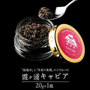 yӂ邳Ɣ[Łz YLrA 20g×1 H LO a EO咿 LrA YLrA 錧Y