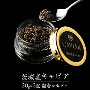 yӂ邳Ɣ[Łz LrA lߍ킹 Zbg 20g×3 LrA H LO a EO咿 YLrA 錧Y 