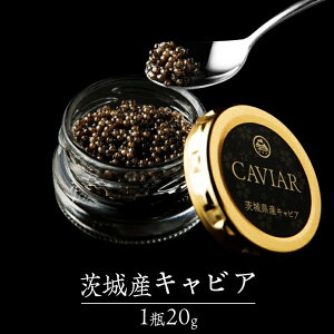 【ふるさと納税】 つくばスタージョン キャビア 20g×1 キャビア 高級食材 記念日 誕生日 世界三大珍味 国産キャビア 茨城県産 茨城
