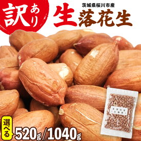 【ふるさと納税】 訳あり お徳用 茨城県産 生落花生 2袋 or 4袋（1袋あたり260g ） 簡易包装 ポスト投函 ご自宅用 ピーナッツ 落花生 ナッツ 豆 おつまみ 8000円