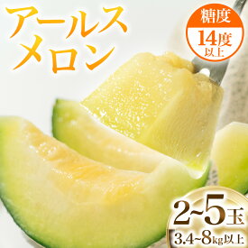 【ふるさと納税】《 2026年 収穫分 》 甘さ満点 アールスメロン 2玉 3玉 4～5玉 先行予約 KEK 国産 マスクメロン メロン 青肉メロン 贈答 贈り物 プレゼント ギフト 特産品 農家直送 産直 くだもの 果物 フルーツ 茨城県 桜川市