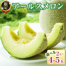 【ふるさと納税】《 2027年 収穫分 》 甘さ満点 アールスメロン 2玉 3玉 4～5玉 先行予約 KEK 国産 マスクメロン メロン 青肉メロン 贈答 贈り物 プレゼント ギフト 特産品 農家直送 産直 くだもの 果物 フルーツ 茨城県 桜川市