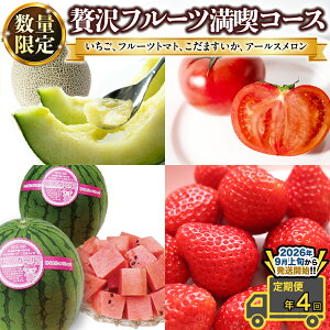 【ふるさと納税】【 定期便 】【 2026年9月上旬から発送開始 全4回 】 数量限定 贅沢 フルーツ 満喫コース 旬の果実 旬のフルーツ くだもの 果実 トマト フルーツトマト スイカ いちご メロン