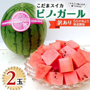 yӂ邳Ɣ[Łzy 󂠂 z܃XCJ smEK[ i1`2ʁj y 2026N5{蔭Jn z KI ^lCɂȂȂ  XCJ Z { {̉ʎ {̃t[c 