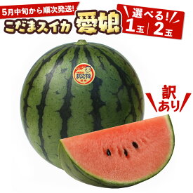 【ふるさと納税】【訳あり】 際まで甘い こだまスイカ　愛娘（1玉〜2玉）【2026年5月中旬より発送開始】スイカ 西瓜 旬 旬の果実 旬のフルーツ くだもの 果実 フルーツ 夏 小玉スイカ 小玉 果物 美味しい