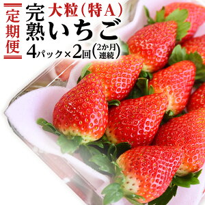 yӂ邳Ɣ[Łz y2 ցz n  ցI 2pbN × 2 v 4`8pbN i1P260gj  Y  C`S  ʕ  ƂƂ 悢Ђ t[c 錧Y KEK