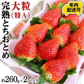【ふるさと納税】【12/17までの申込で年内にお届け！】 完熟 とちおとめ 260g×2〜4パック 年内お届け 国産 いちご イチゴ 苺