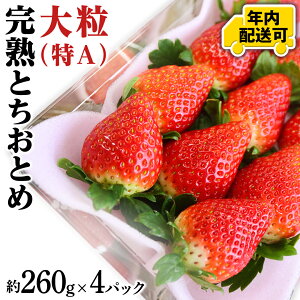 yӂ邳Ɣ[Łzy12/17܂ł̐\ŔNɂ͂Iz n ƂƂ 260g×2`4pbN N͂ Y  C`S 
