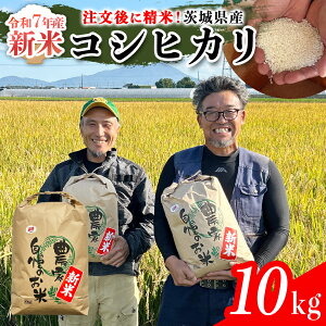 yӂ邳Ɣ[Łz s Iׂ e tߘa7N 錧Y RVqJ 5kg ` 10kg ߘa7NY V Pꌴ    R  Ђ 錧