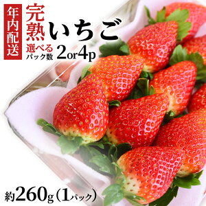 yӂ邳Ɣ[Łzy12/17܂ł̐\ŔNɂ͂Iz n  260g×2`4pbN i킨܂ N͂ Y  C`S 