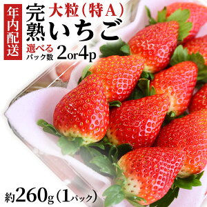 yӂ邳Ɣ[Łzy12/17܂ł̐\ŔNɂ͂Iz n  260g×2`4pbN i킨܂ N͂ Y  C`S 