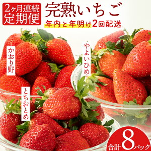 yӂ邳Ɣ[Łz y2Az ̂ꂽĊn ցi260g×2`4pbN×2^12E1͂j  ƂƂ 悢Ђ Y C`S 