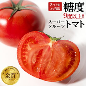 【ふるさと納税】《 2026年収穫分 先行予約 》 糖度9度以上 スーパーフルーツトマト 約800g 〜 2.6kg × 1箱 〜 3箱 定期便 フルーツトマト ブランドトマト 野菜 ギフト 贈答