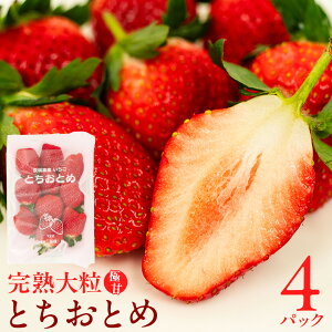 yӂ邳Ɣ[Łz y 2026N1{Jn z n ƂƂ 260g×2`4pbN Y  C`S  ʕ t[c