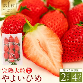 【ふるさと納税】《 2027年 収穫分 》 完熟 やよいひめ 260g×2〜4パック KEK 国産 いちご イチゴ 苺 くだもの 果物 フルーツ 冬 春 旬