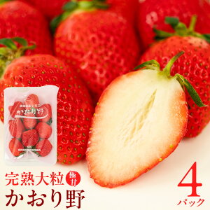 yӂ邳Ɣ[Łz s 2026N1{Jn t n  260g×2`4pbN Y  C`S  ʕ t[c 錧Y KEK ʕ t[c