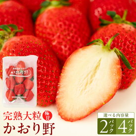 【ふるさと納税】《 2027年 収穫分 》 完熟 かおり野 約260g×2〜4パック KEK 国産 いちご イチゴ 苺 くだもの 果物 フルーツ 冬 春 旬