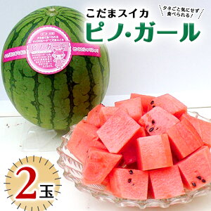 yӂ邳Ɣ[Łz KI^lCɂȂȂ ܃XCJ smEK[ y2026N5{蔭Jnz XCJ Z ʃXCJ  ʕ  t[c  