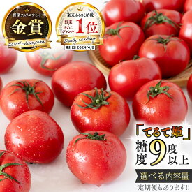 【ふるさと納税】《 テレビで紹介 》【 2026年収穫分 先行予約 】糖度9度以上 スーパーフルーツトマト てるて姫 約800g ～ 2.6kg × 1箱 ～ 3箱 定期便 フルーツトマト ブランドトマト 野菜 ギフト 青空レストラン アド街ック天国 グッドモーニング 黄金のワンスプーン