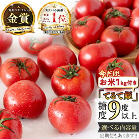 【ふるさと納税】《 12/31まで特別内容！コシヒカリ1kg付 》 【糖度9度以上 スーパーフルーツトマト てるて姫 約800g ～ 2.6kg × 1箱 ～ 3箱 定期便 2026年収穫分 先行予約 フルーツトマト ブランドトマト 野菜 ギフト 青空レストラン 黄金のワンスプーン