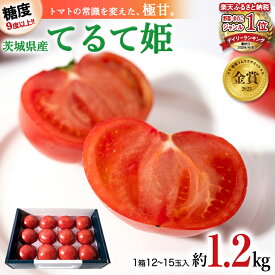 【ふるさと納税】《2024年2月上旬発送開始》 スーパーフルーツトマト てるて姫 中箱 約1.2kg 【12〜15玉/1箱】糖度9度以上 ブランドトマト フルーツトマト トマト とまと てるてひめ 桜川市 茨城県桜川市