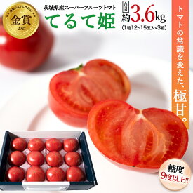 【ふるさと納税】《2024年2月上旬発送開始》 スーパーフルーツトマト てるて姫 中箱 約1.2kg 【12〜15玉/1箱】糖度9度以上 ブランドトマト フルーツトマト トマト とまと てるてひめ 桜川市 茨城県桜川市
