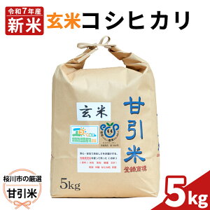 yӂ邳Ɣ[Łzߘa7NY s I È RVqJ  5kg ʍ͔| RVqJ Ђ    R L@엿 sY 錧 ΂炫