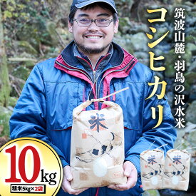 【ふるさと納税】令和7年産 筑波山麓 羽鳥 の 沢水米 コシヒカリ 10kg 米 お米 コメ 精米 白米 桜川市 茨城県