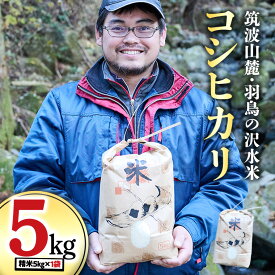 【ふるさと納税】 令和7年産 筑波山麓 ・ 羽鳥の沢水米 コシヒカリ 5kg 米 お米 コメ 精米 白米 桜川市 茨城県
