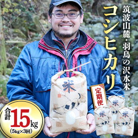 【ふるさと納税】 令和7年産 【3ヶ月定期便】 筑波山麓・羽鳥の沢水米 コシヒカリ 5kg × 3回 定期便 米 お米 コメ 精米 白米 桜川市 茨城県
