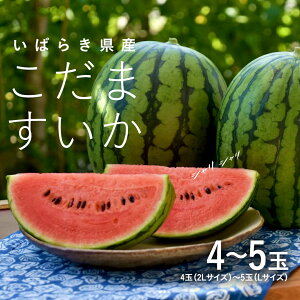 �y�ӂ邳�Ɣ[�Łz ������ ������ ( �I�ׂ�� ) 2�� 4�ʁ`5�� �s2026�N5�����{���甭���J�n�t ���ʂ����� �����܂����� ���� �X�C�J ���Z �ʕ� �t���[�c ��� �_�ƒ��� �Y�n����