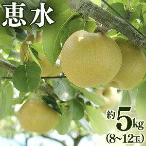 �y�ӂ邳�Ɣ[�Łz�b�� �� 5kg �i8�`12�ʁj 2026�N�Y ��s�\�� �� �ʕ� �t���[�c �Ȃ� �i�V �b���� �������� �f�U�[�g ���