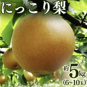 �y�ӂ邳�Ɣ[�Łz�ɂ����藜 �� 5kg �i6�`10�ʁj 2026�N�Y ��s�\�� �� �ʕ� �t���[�c �Ȃ� �i�V �ɂ����� �������� �f�U�[�g ���