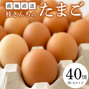 yӂ邳Ɣ[Łz}  ܂ (M`L 20`40) Yn ܂ ʎq  { ^}S  sY 錧Y  `qg
