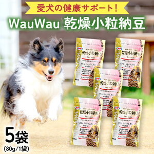 yӂ邳Ɣ[Łzwauwau [ 5 p  ӂ肩 pybgt[h Y 錧Y [