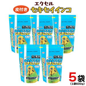yӂ邳Ɣ[ŁzGNZ ZLZCCR 600g×5 p  ybgt[h a  