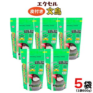 yӂ邳Ɣ[ŁzGNZ  600g×5 p  ybgt[h a  