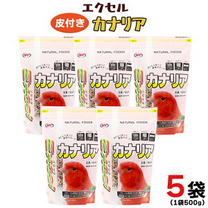 yӂ邳Ɣ[ŁzGNZ JiA 500g×5 p  ybgt[h a  