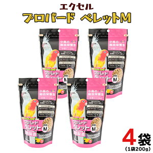 yӂ邳Ɣ[ŁzGNZ vo[hybgM 200g×4 p  ybgt[h a  