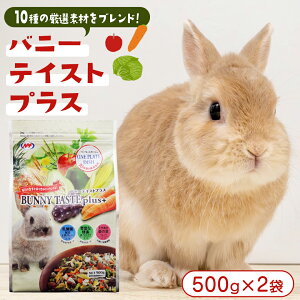 yӂ邳Ɣ[Łzoj[ eCXgvX 500g × 2 oj[  pt[h ybgt[h  _۔z