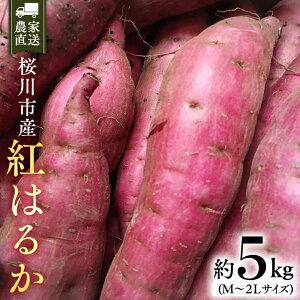yӂ邳Ɣ[Łzy2025N10{JnzY ܂ g͂邩 5kg 錧 Tc}C ׂɂ͂邩  Â